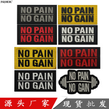 �K�����xno pain no gainһ�ָ���һ���ի@��־ʿ���´̽����F؛