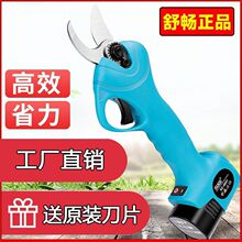 �敳늄Ӽ���������ʽ��֦��ԭ�b��ؓʽ�����늈@ˇ����֦����