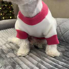 夏季宠物背心猫猫咪薄款雪纳瑞比熊博美贵宾泰迪小型幼犬狗狗衣服