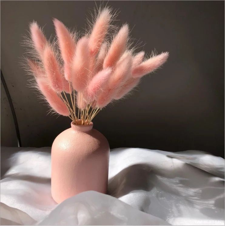 토끼 꼬리 핑크 60/넥타이