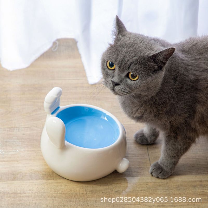 新品猫碗陶瓷猫咪罐头碗零食碗舔舐饭碗猫食盆宠物碗兔子可爱新款|undefined