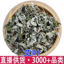 ���~ ����500��