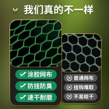 �T�z���P��~�o�W���o�~���p�Ȧ�O�o�b�~���ۯB�T�z�Ӻ��ٸ��~�W