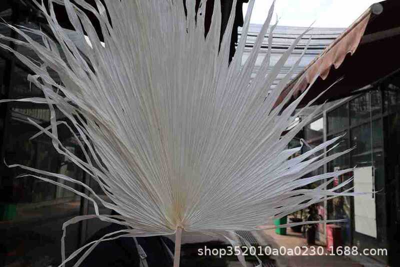Dried Flowers Eternal Flowers Bleached Pu Fan Leaves Pu Kui Palm Leaves Wedding Decoration Flower Art Meichen Decoration Cafe Decoration