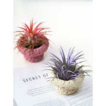 �GֲС���ԟo���k���҃����愓��՚��P����B���P�����ֲ��