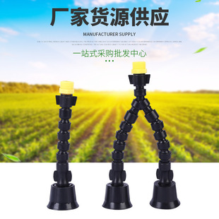 ���m�F�����^���p��4�ֳ��m���^�f����{���س��m�����F�����^