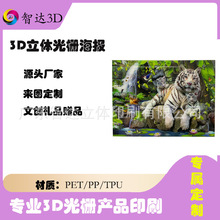 ��ſ����ƹ��ӡˢӰҕ�Α�����3D��ź��� ���wҕ�X�b�