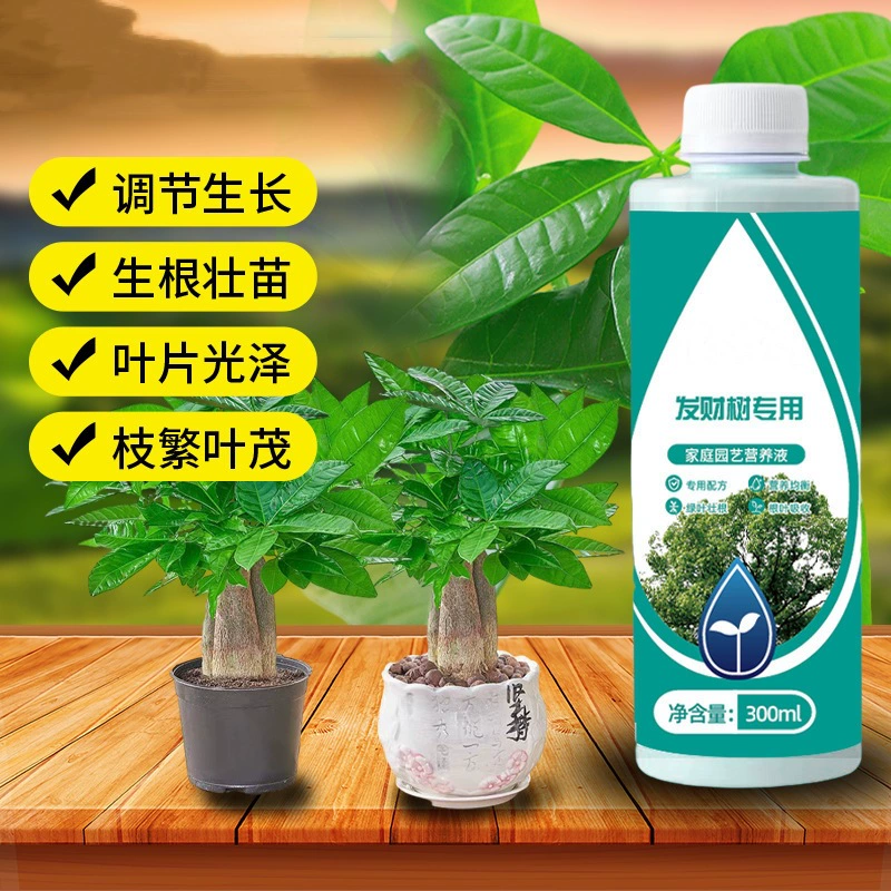 Специальный питательный раствор для дерева удачи