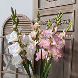 ��֦���m ��Ʒ�|�Wʽ���滨��c��ˇ�ٻ��Ҿ�����b廨�[��