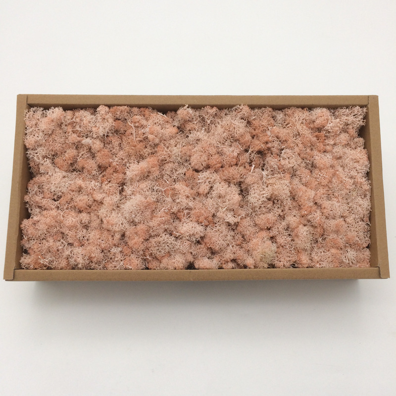 Musgo al por mayor de musgo peso neto 200g caja de regalo flores de musgo eternas accesorios para el hogar tiro ventas directas de la fábrica