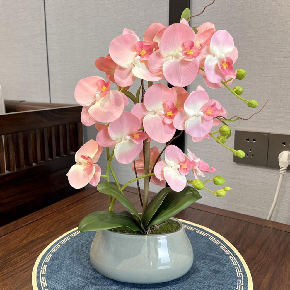 ec3e7535-c076-44a4-b03a-ff3d442ac370.jpe