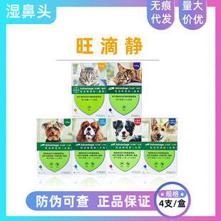 �����o����؈�乷���w��������x���x���΄�����ҧʭ�w����xș