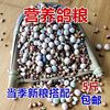 Corn dove Watch Pigeon Race Fly Nutrition Remove Manufactor wholesale Manufactor Direct selling