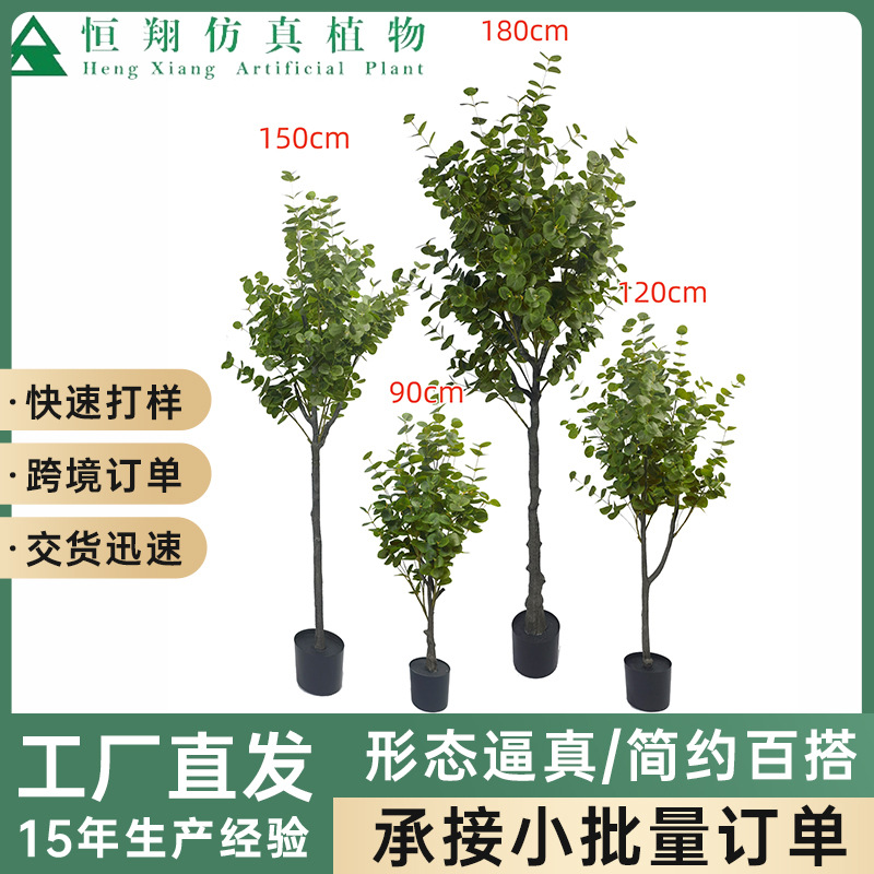 Simulación de estilo de desmontaje transfronterizo Eucalipto en maceta Eucalipto Centro comercial Sala de estar Ventana Decoración de plantas de piso a techo