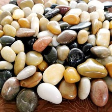 100���Z��ʯ�·䁵�ͥԺ���@�쾰��Ȼ��Сʯ�^�껨ʯԭʯ�Zܛʯ