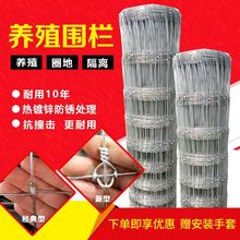 ����\ţ�ھW���@���ھW�Bţ�R���o�ھW�����Bֳ䓽z�W�F�z�W���o