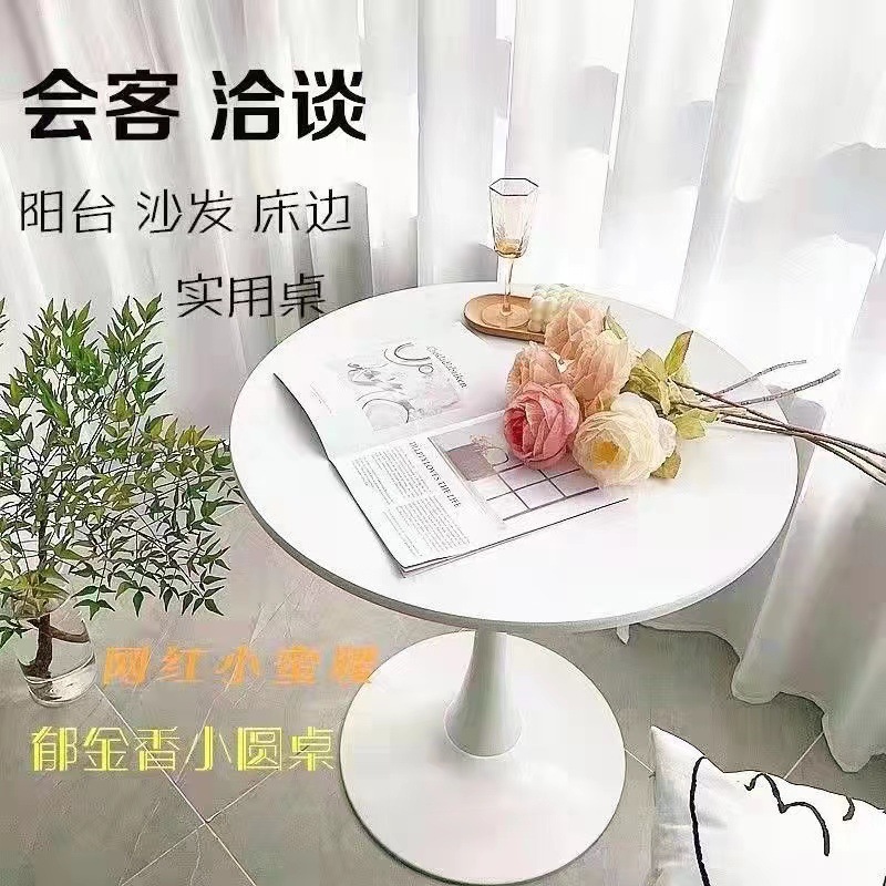 Nordic Style Internet-Famous Milk Tea Shop Reception Bedroom Balcony Simple Tulip White Table X Household Small Round Table