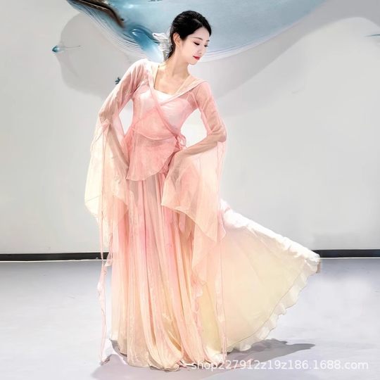 New Classical Practice Clothing, Spring Ode, Elegant and Fairy Chinese Dance Gradient Gauze Dress, Large Skirt Performance Clothing Set