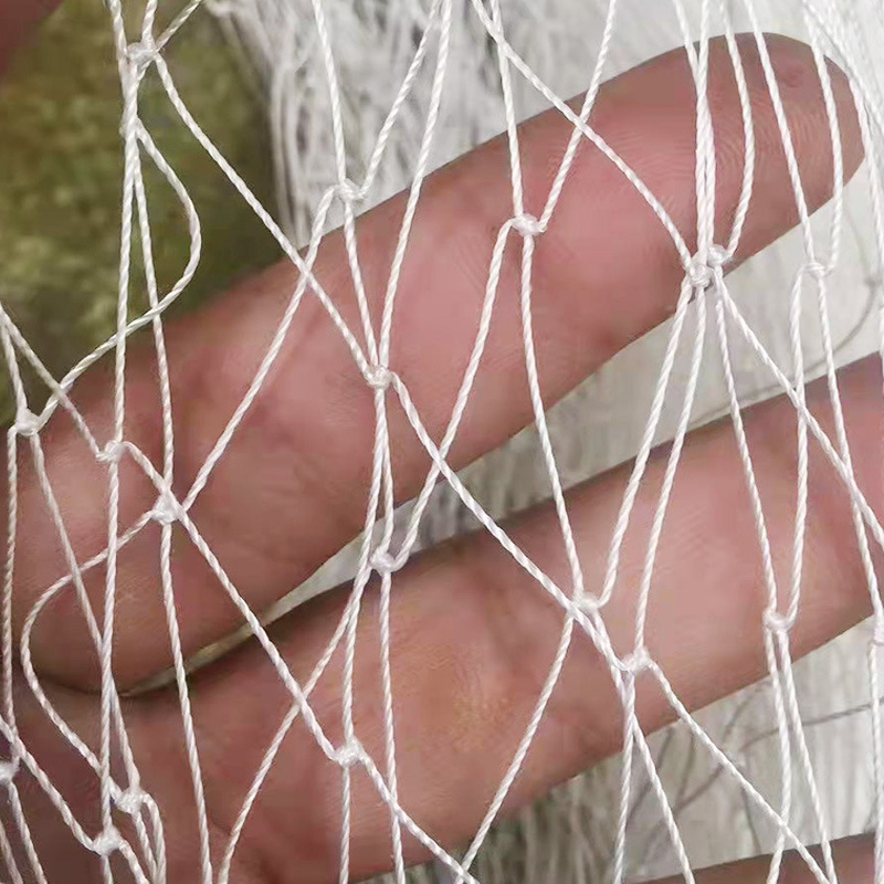 速广厂家供应有机蔬菜白色温室大棚蔬菜防鸟网 60目农用防鸟网