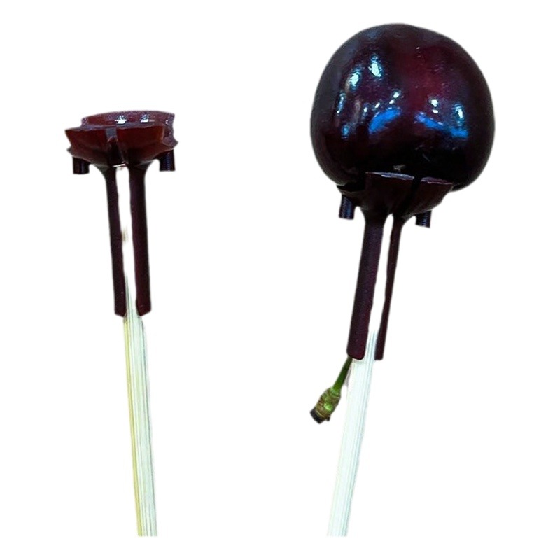 Soporte fijo para cerezas, paquete de materiales para ramo de frutas, ramo de floristería, brocheta de bambú semiterminada, materiales para flores de regalo al por mayor