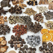 ľƬֲ̫˱ɹdiyɻϰֹ