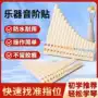 教学初学者学生音符排笛