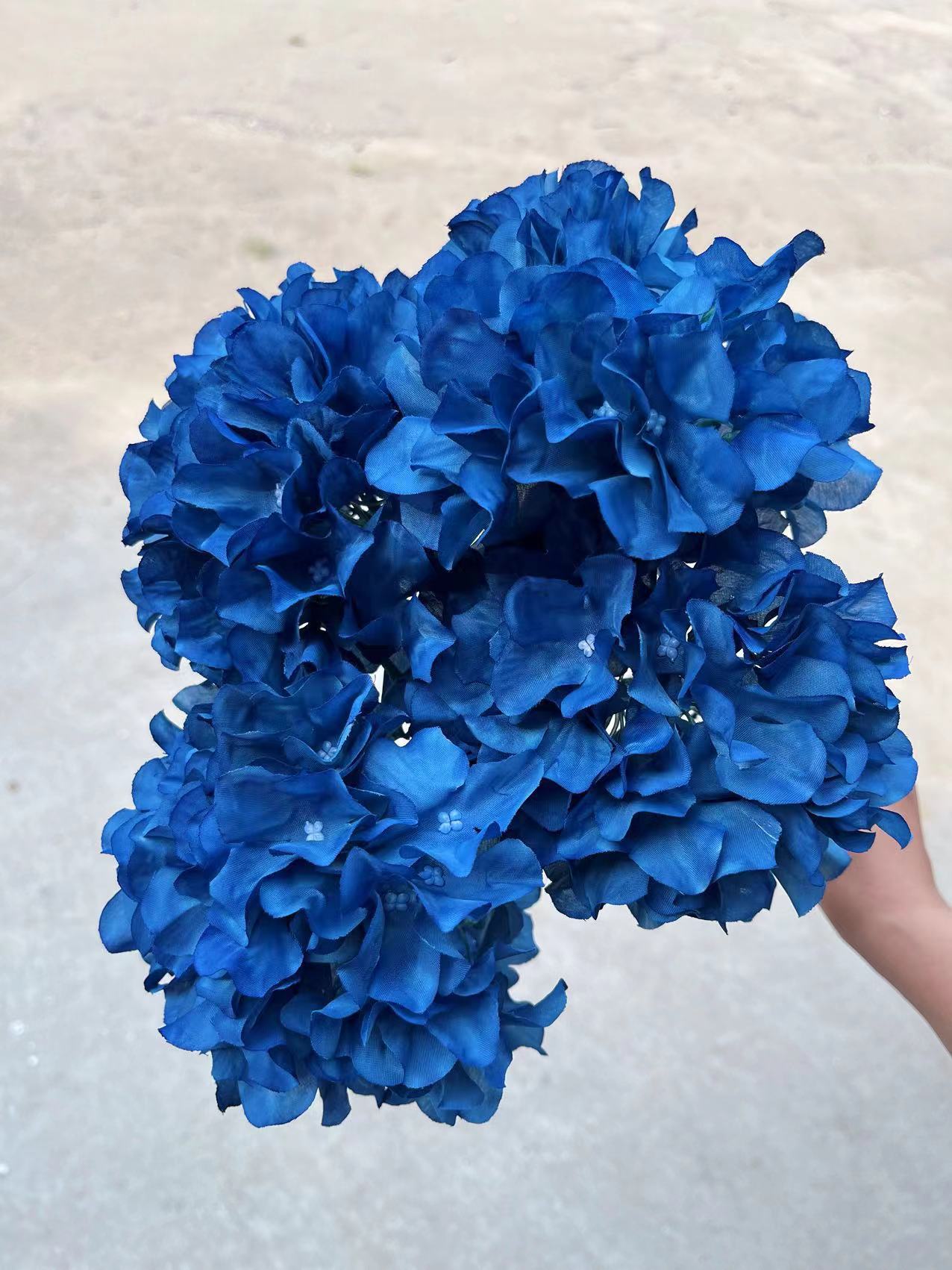 微信图片_20240712160813