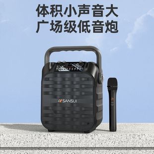 Landscape U16 Outdoor Square Dance Audio Portable Home with Microphone Singing K-song Portable Sound Card Bluetooth Speaker