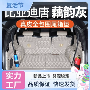 BYD Tang DMi Honor Edition 7 yerlik baqaj matı, 2024 Tang EV DMp