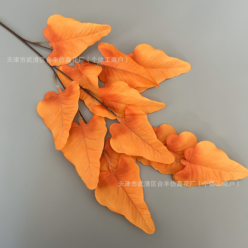 주황색
