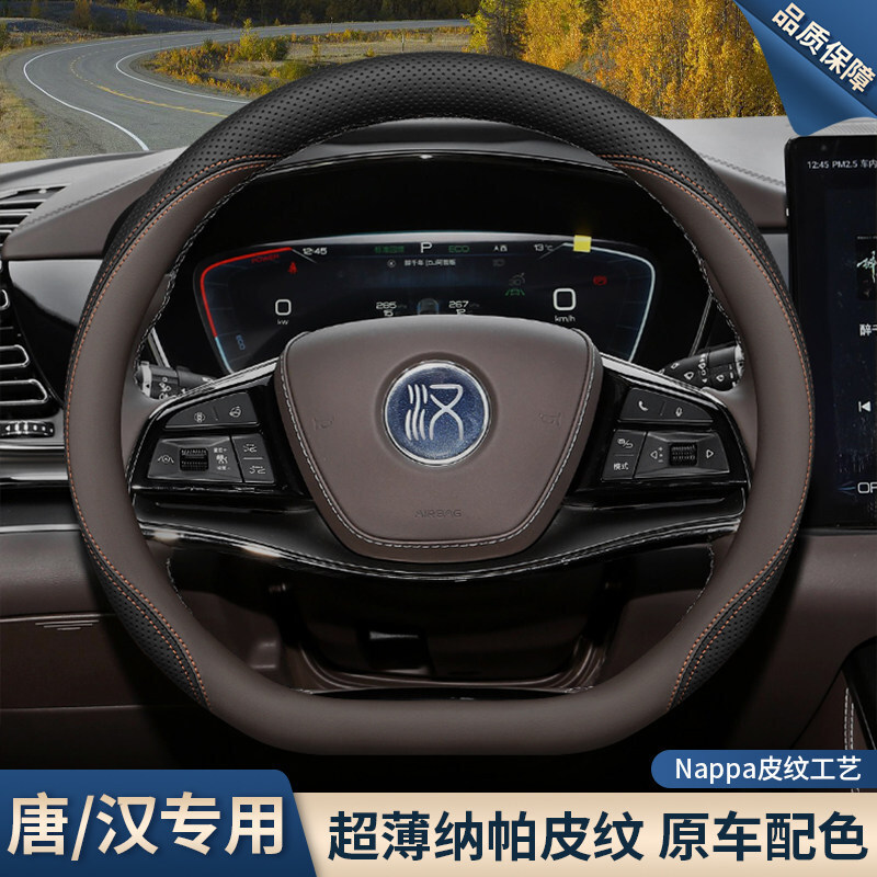 Tang Dmi/Ev/Dmp Han Dmi/Ev Glory — Steering wheel cover