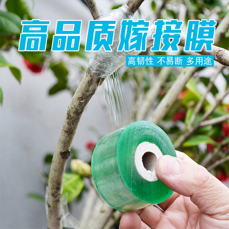 Pequeño rollo de jardinería árbol frutal injerto película PE alambre estiramiento industrial envoltura de plástico PVC bobinado película de bobinado transparente