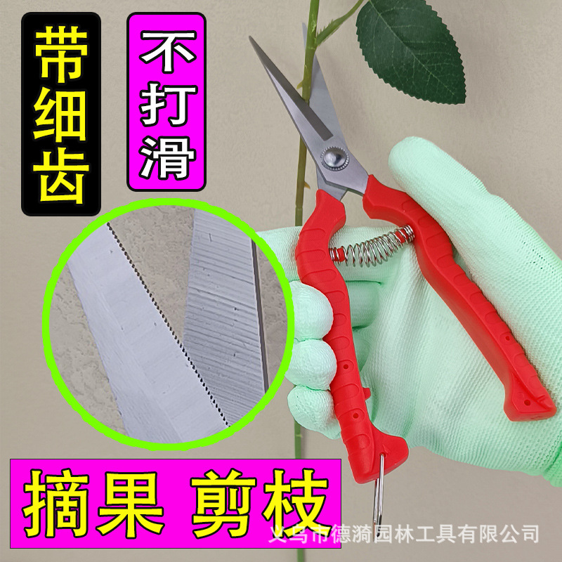 德漪不锈钢摘果剪园艺剪刀修枝剪果树剪藤蔓剪采果剪葡萄剪细枝剪