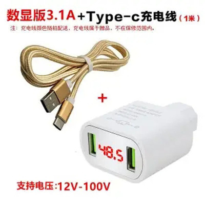 3.1A 폭발 흰색 12-100V + Letv 라인