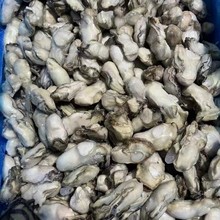 ��S�l؛10kg/�� ��ɽԭ�{����⺣Ϡ��ĵϠ�⺣�r������Ʒ����