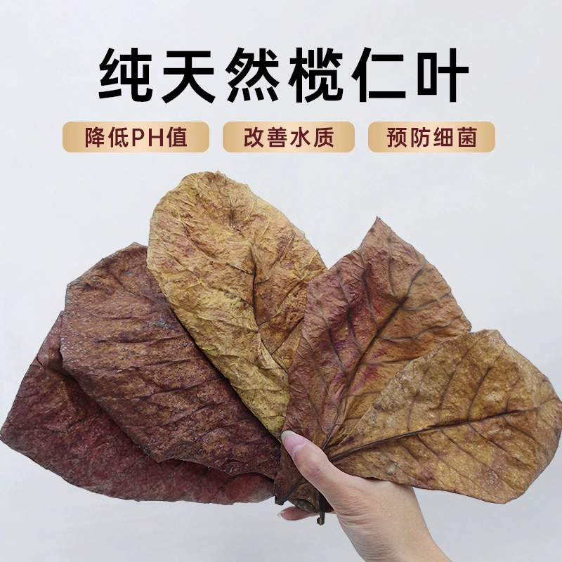 Натуральный Оливковый лист ленивый лист натуральный Антибактериальный смягчающий качество воды и улучшение качества воды значение pH черепаха Douyu тропическая рыба