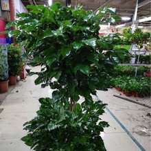 �k�����辰��[���֘����U�Gֲ�������Դ���СҎ�����r�񃞻�15