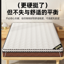 床墊硬墊子家用卧室席夢思加硬神器兒童老人護脊棕墊天然椰棕床墊