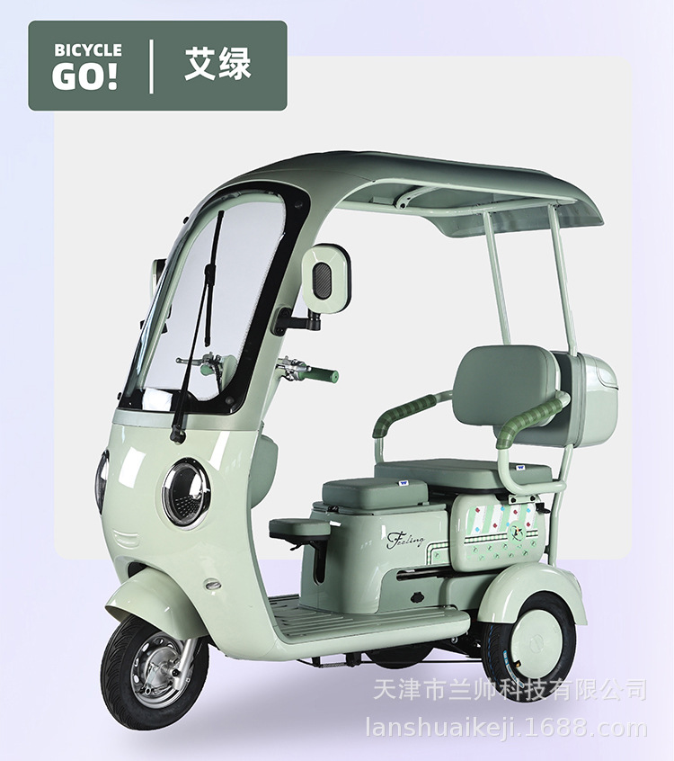 New National Standard Electric Leisure Tricycle Small Vehicle for Kids