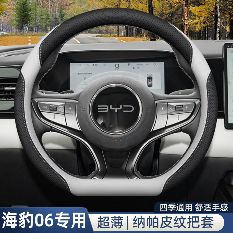 2025��ȁ��Ϻ���06dmi/06ev����P��25�����а���b�ļ�ͨ�ð���