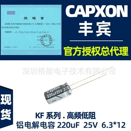 铝电解电容器