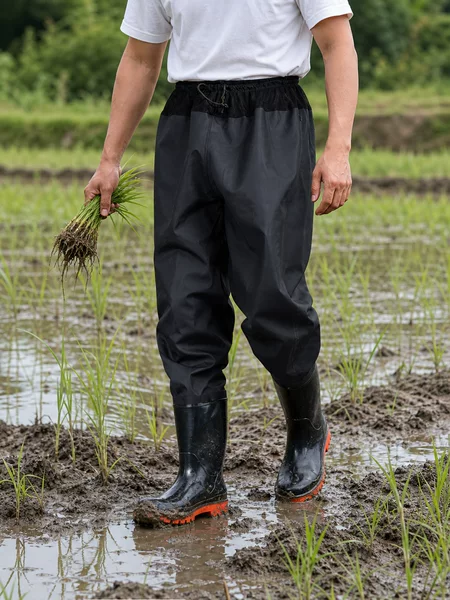 Manufacturer Wholesale Planting Pants, Planting Shoes, Foldable Planting Wading Pants, Wading Pants, Integrated Fishing Pants