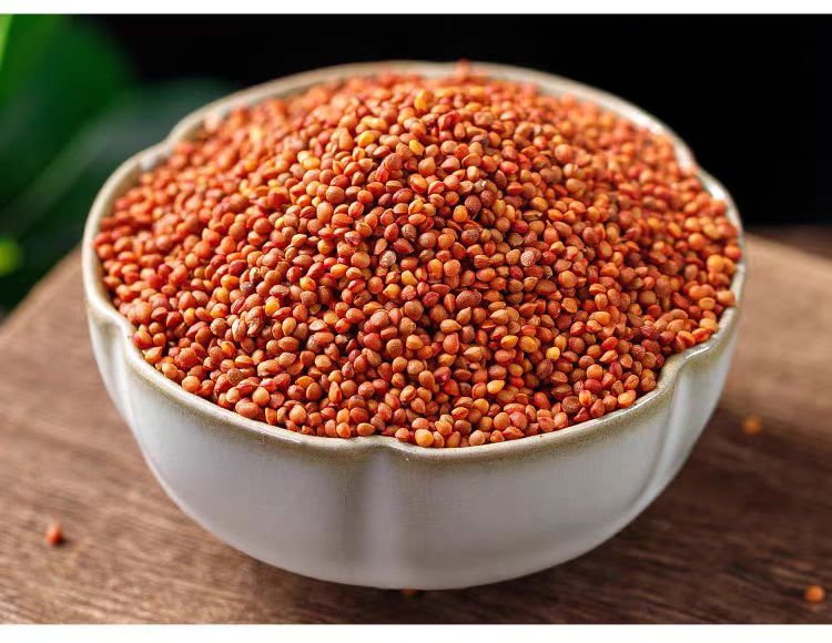 Chu Shi Zi (Broussonetia papyrifera Fruit) — Dried Food Herb, 500g Origin-Direct preparation