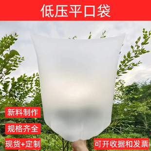 �͉�peƽ�ڴ����ϟo��ζ���m���ϴ����������Ĥ���@���ˮpe����