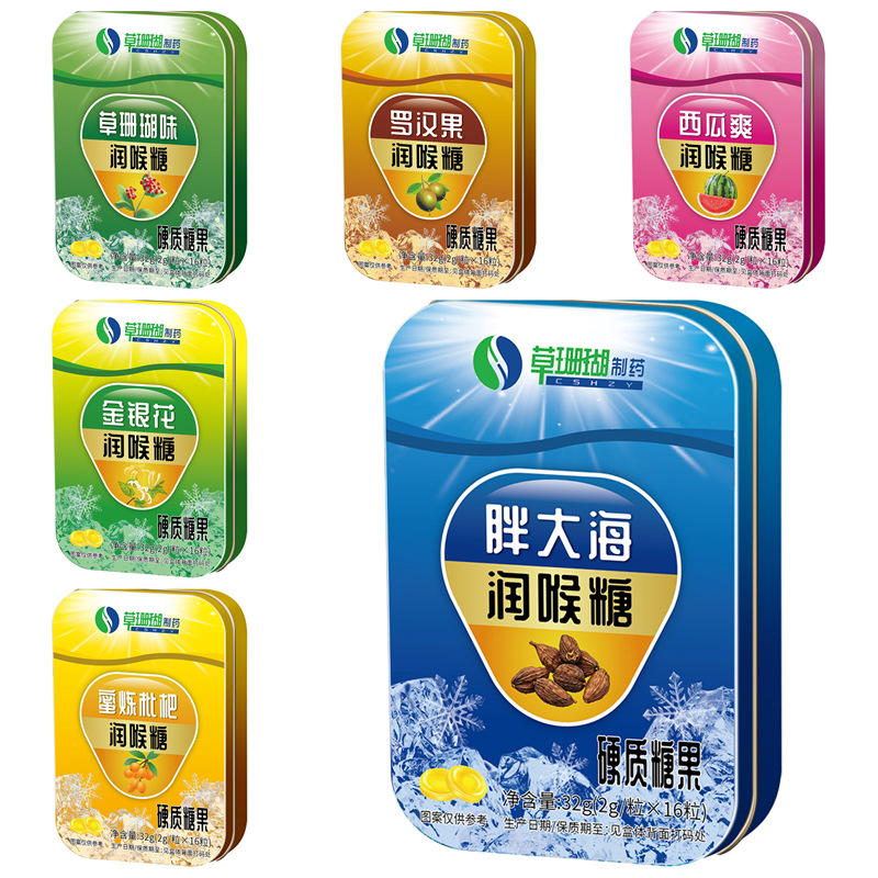Herbal Medicine Iron Box with Honeysuckle, Gourd Fruit, Loquat, and Monk Fruit Throat Lozenges 2g*16 Pieces Mint Candy