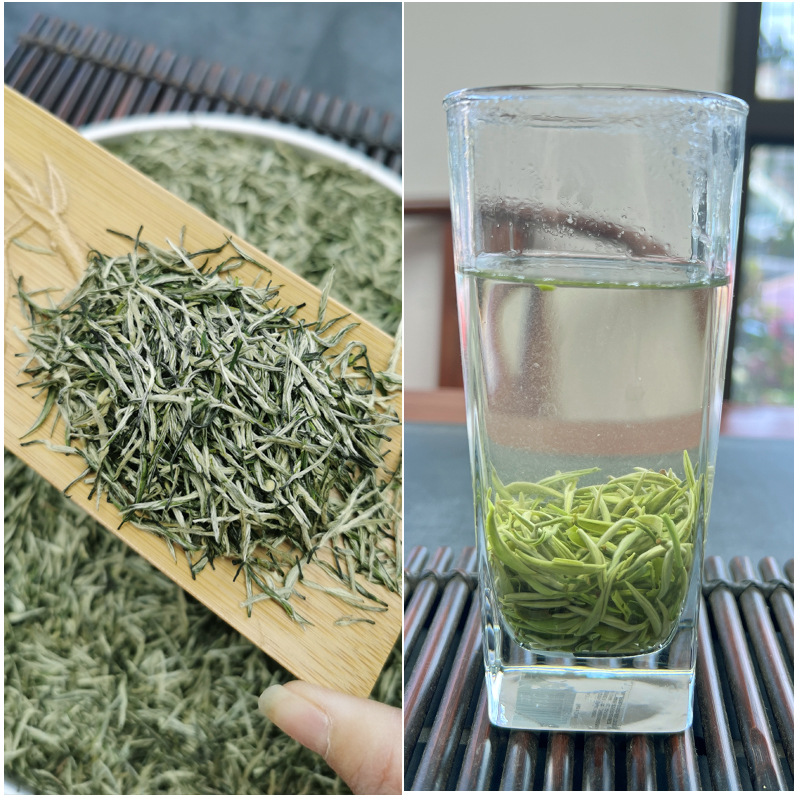 1#春毛尖(周静)干茶-正