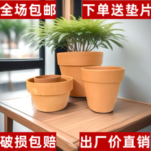 �t�ն���ֲ�ﻨ��������������H���մɾGֲ�������ԽM�����b���]