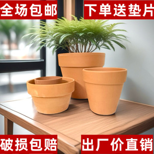 �t�ն���ֲ�ﻨ��������������H���մɾGֲ�������ԽM�����b���]