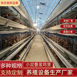 小层叠蛋鸡雏鸡笼子三层养殖设备全自动收集清理粪便热镀锌养殖场