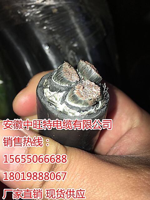CJ85/SC CHJ85/SC 船用电缆 生产厂家 品质出众 值得选择